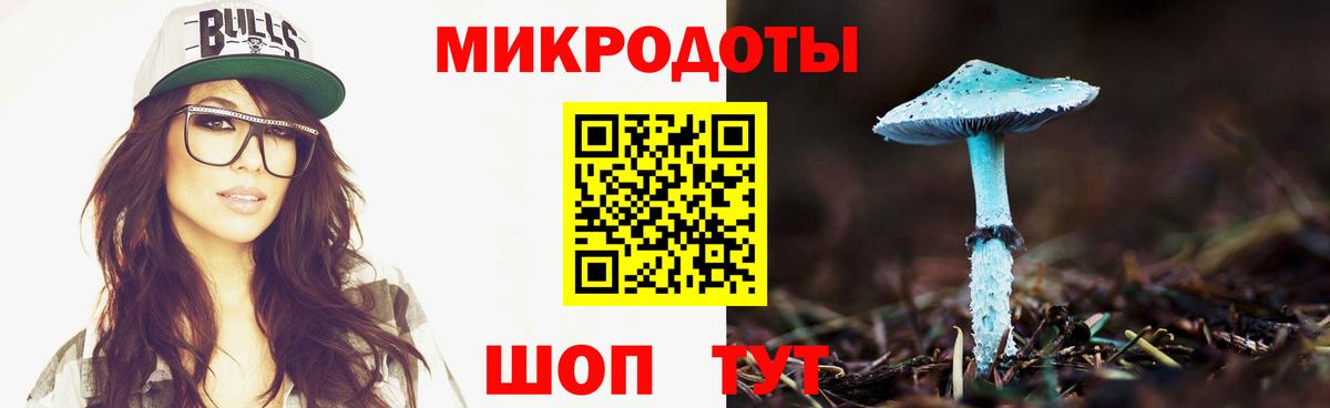 Псилоцибиновые грибы Magic Shrooms  Галлюциногенные грибы Magic Shrooms  где купить   Вход с VPN  Рузаевка 